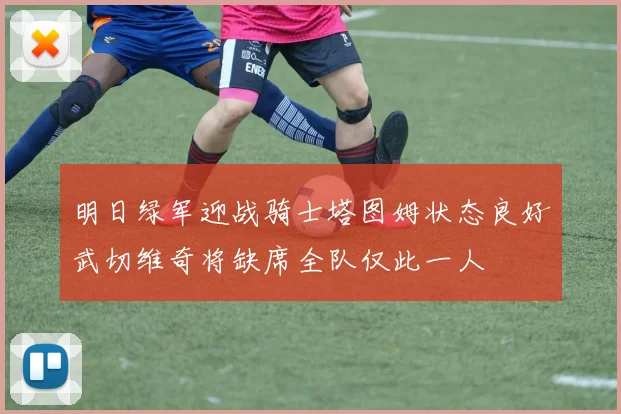 明日绿军迎战骑士塔图姆状态良好武切维奇将缺席全队仅此一人