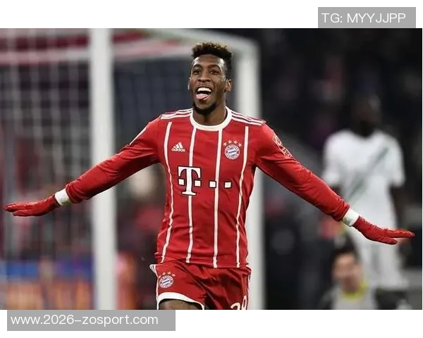 拜仁极端球迷组织策划烟火表演遭禁赛与罚款双重处罚