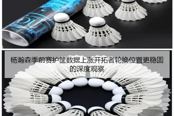 杨瀚森季前赛护筐数据上涨开拓者轮换位置更稳固的深度观察 - zosprt
